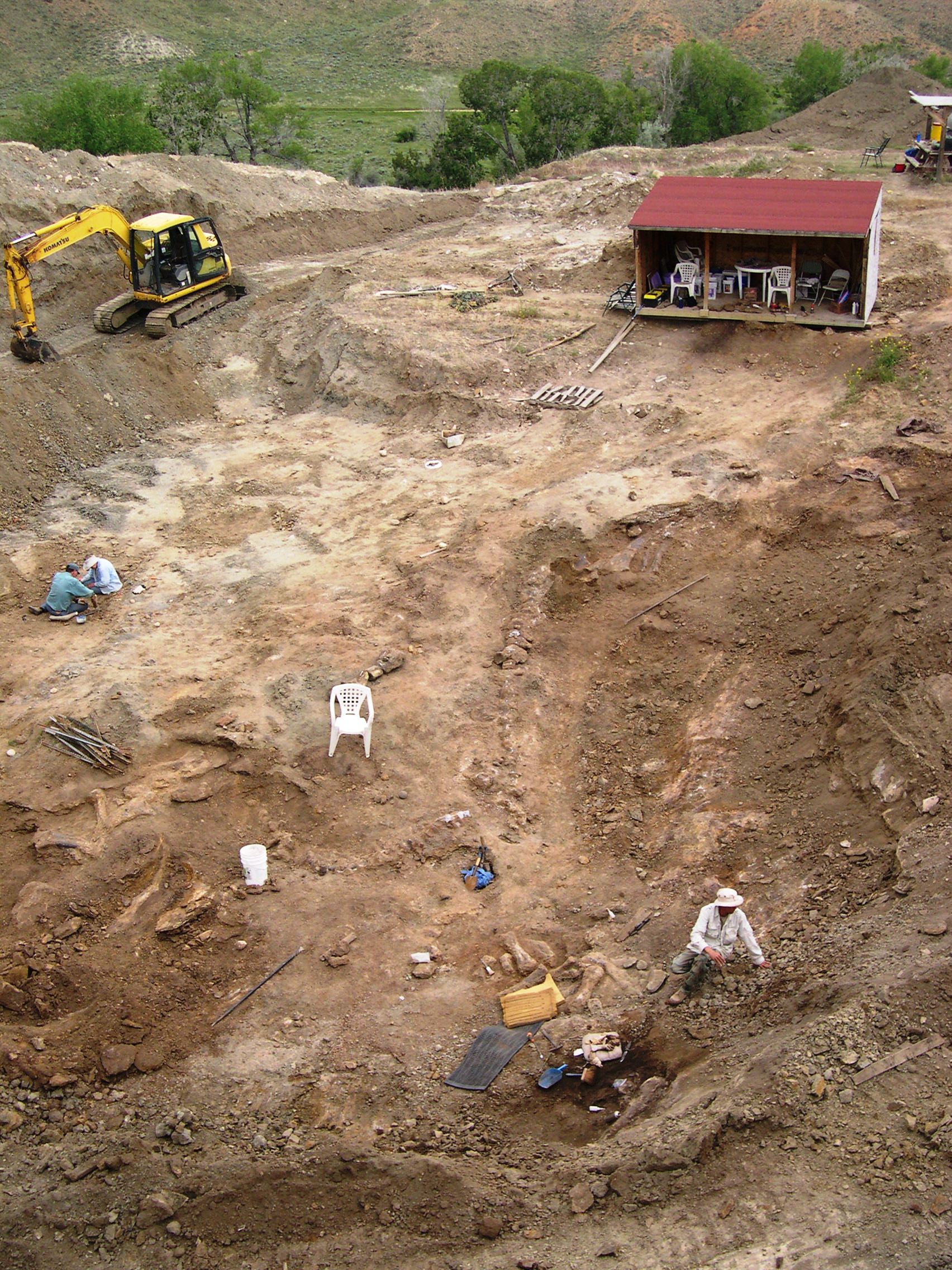 Jurassic Period dig site